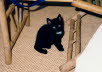 Katz28